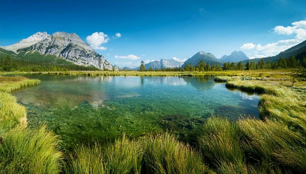 Location de minibus en normandie : astuces simples et pratiques