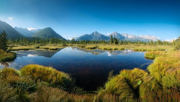 Peut-on trouver une croisière qui offre des ateliers de cuisine péruvienne avec des chefs locaux?